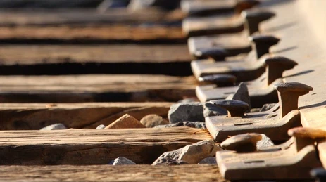 ASTM Standard Dog Spike Q235